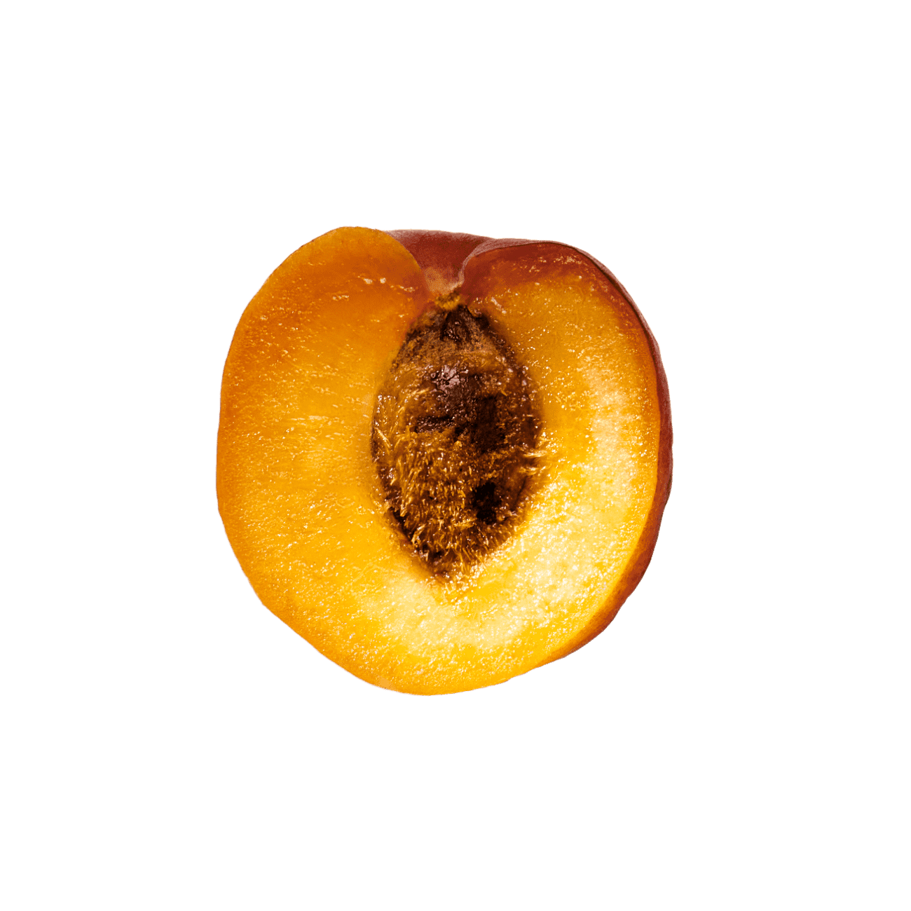 Apricot fruit