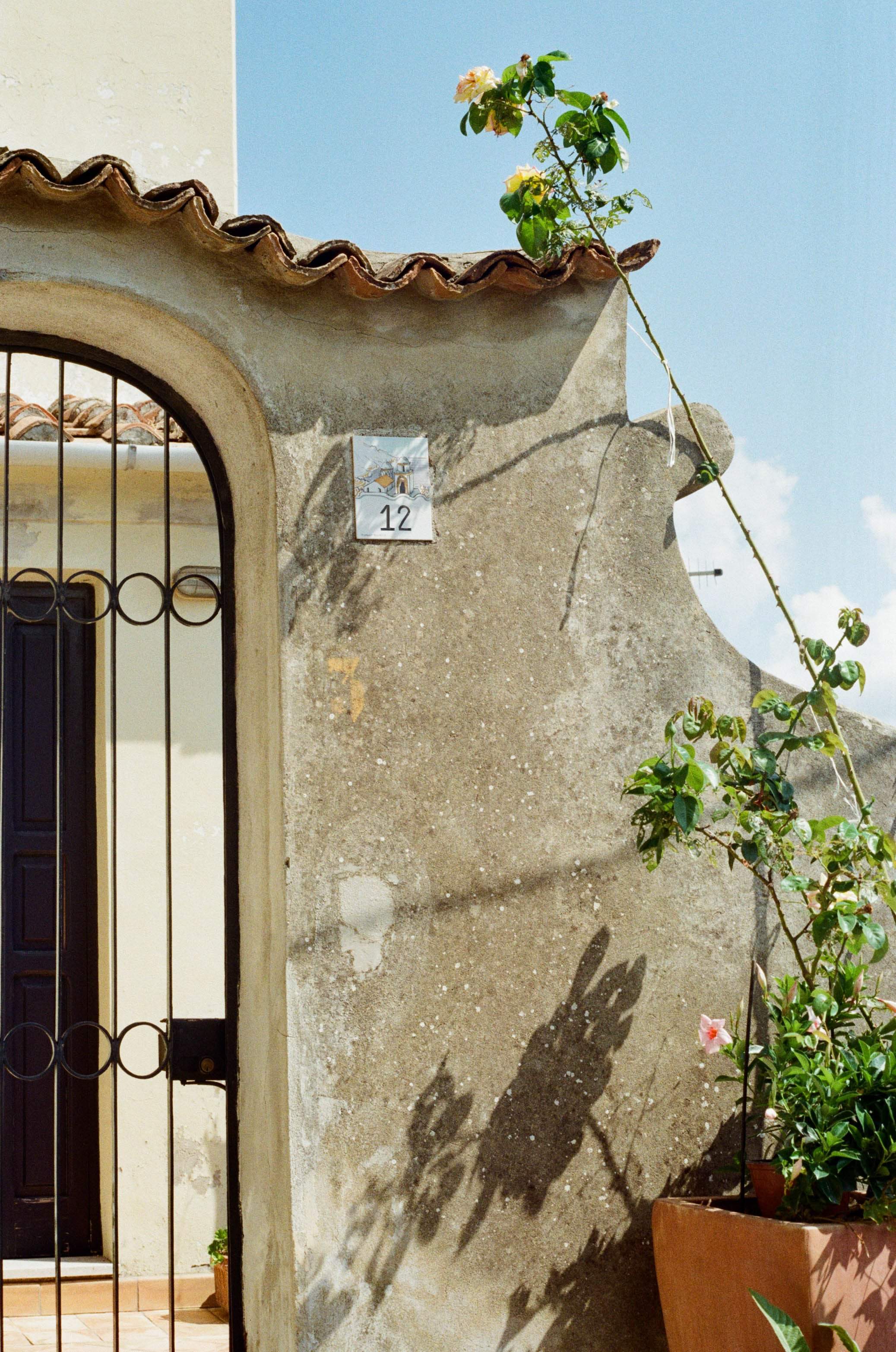 Doorway in the sun with fllowering plant