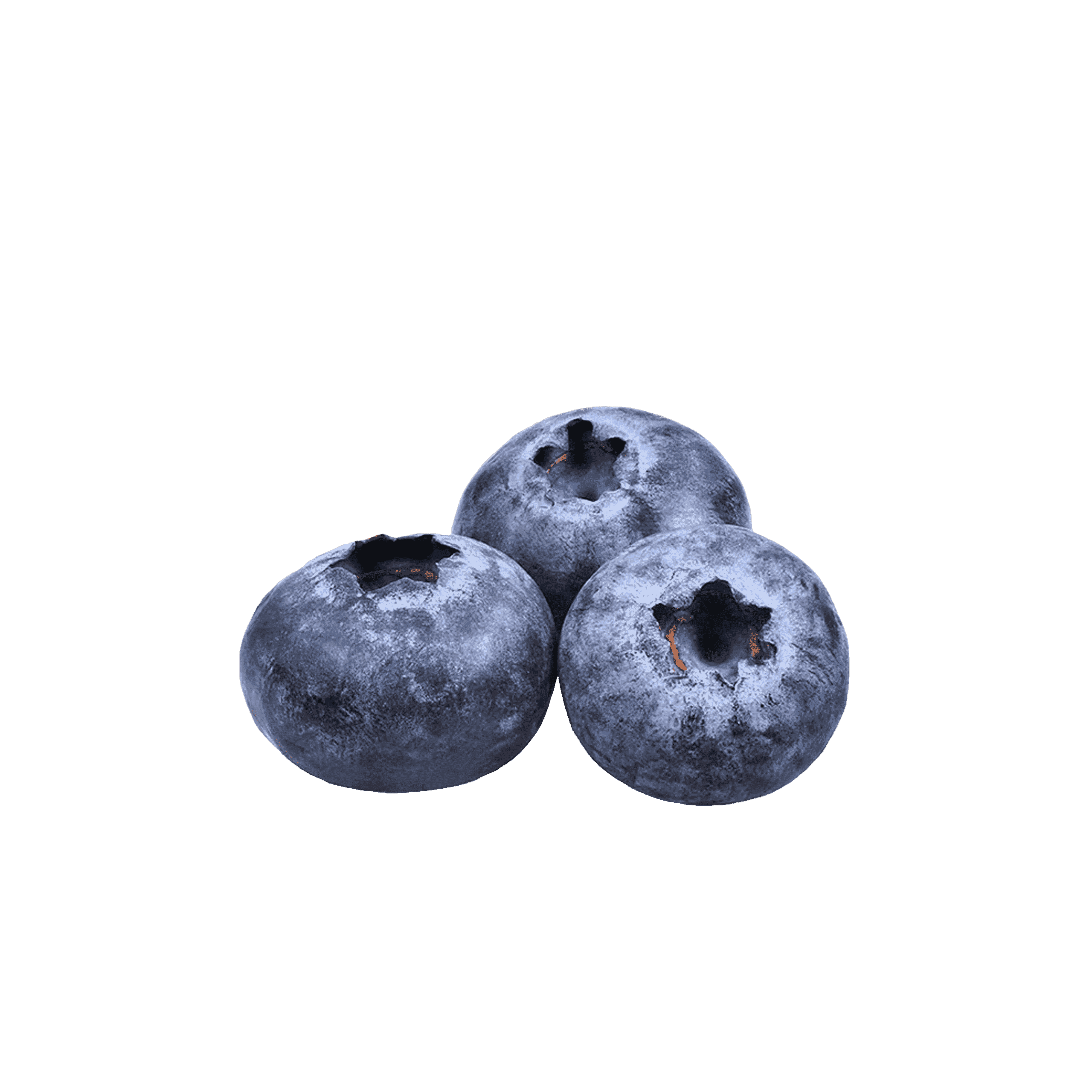 Blueberries