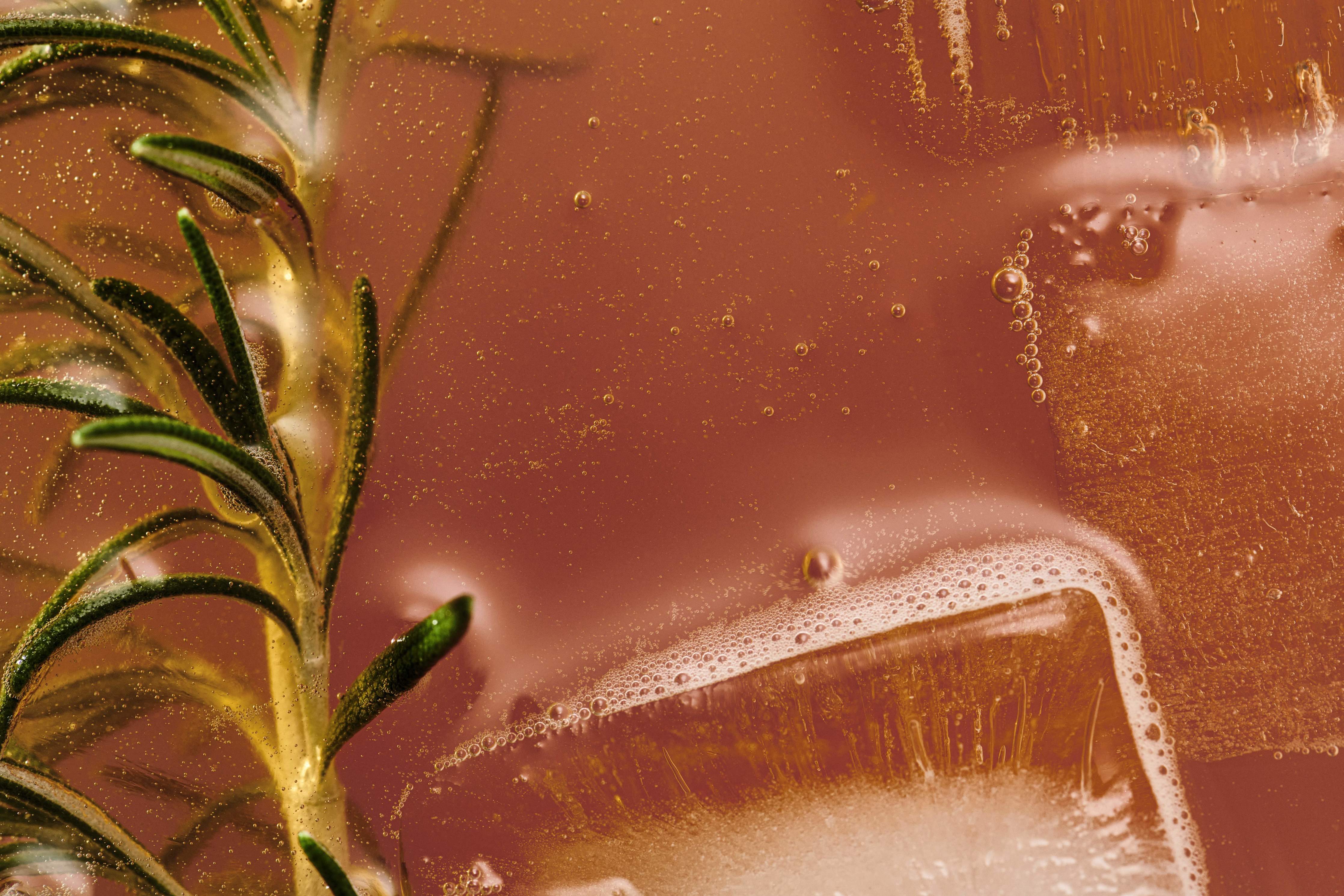 Close-up of a fizzy, amber-colored Douze Apricot & Za'atar drink with a floating rosemary sprig and ice.